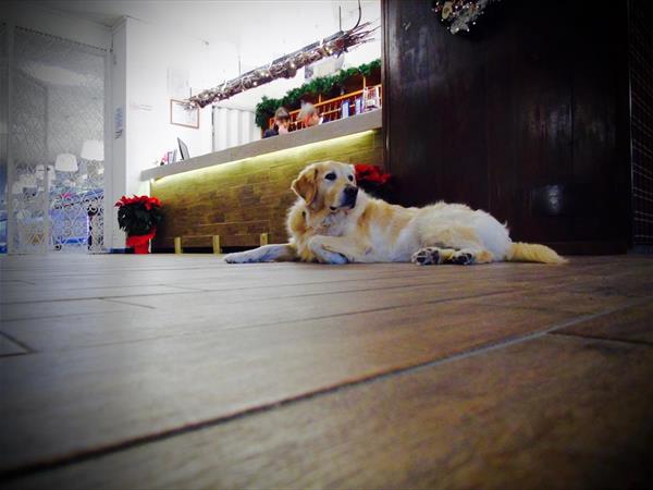 Hotel Paradiso Aremogna - foto 33511.jpg