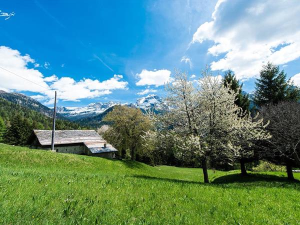 Olympic Regina Hotel  - foto 33555.jpg