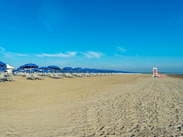 Albarella s.r.l - foto 33892.jpg