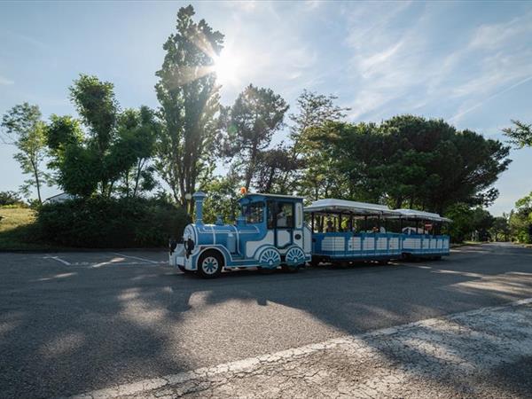 Albarella s.r.l - foto 33897.jpg