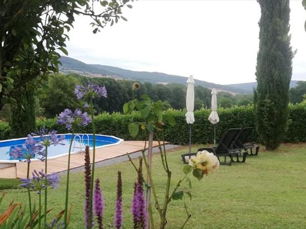 La Collina dei Ciliegi - foto 34552.jpg