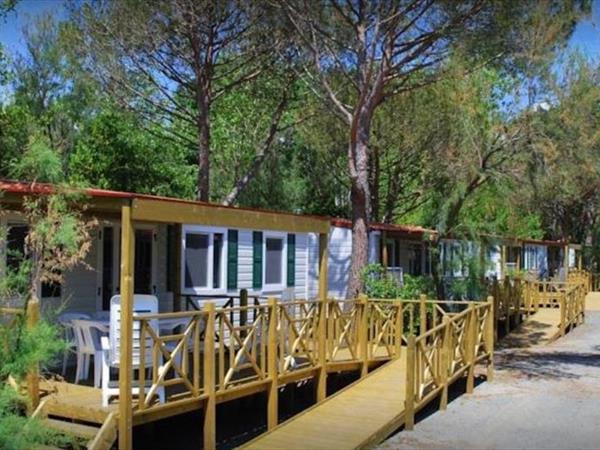 Le Tamerici Camping Village - foto 34555.jpg