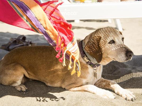 Gitavillage Club Degli Amici - foto 34725.jpg