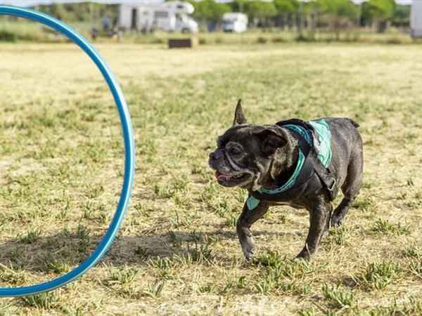 Gitavillage Club Degli Amici - foto 34728.jpg