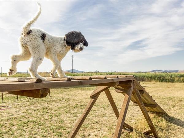 Gitavillage Club Degli Amici - foto 34729.jpg