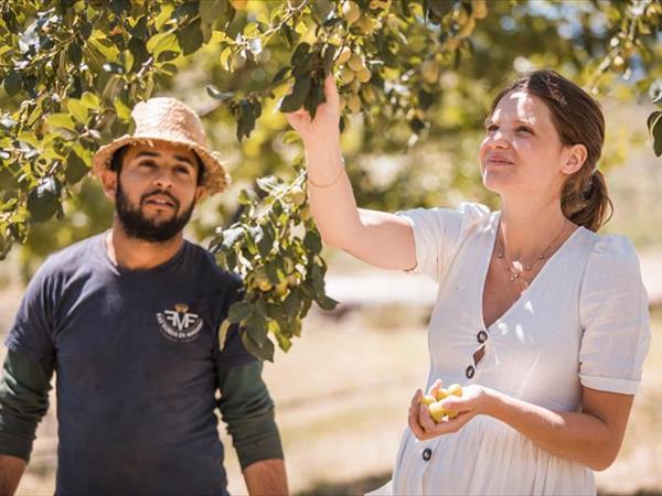 Fattoria di Maiano - foto 34918.jpg