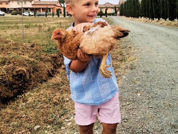 Fattoria Palazzeta  - foto 34962.jpg