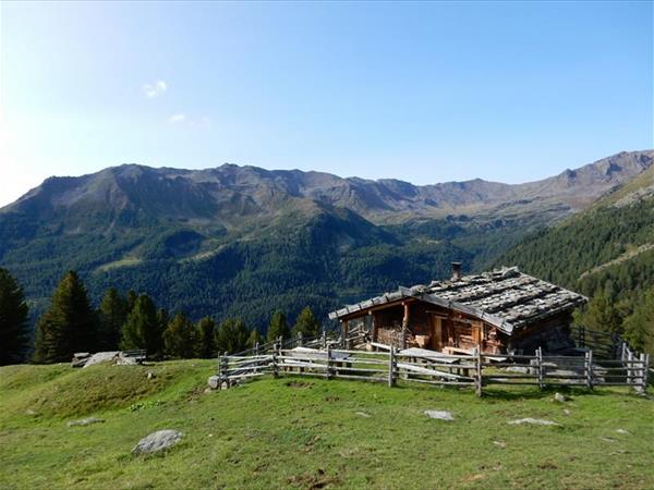 Familyhotel Viktoria - foto 35205.jpg