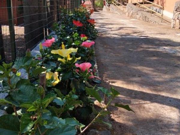 Villaggio da Pep�  - foto 35270.jpg