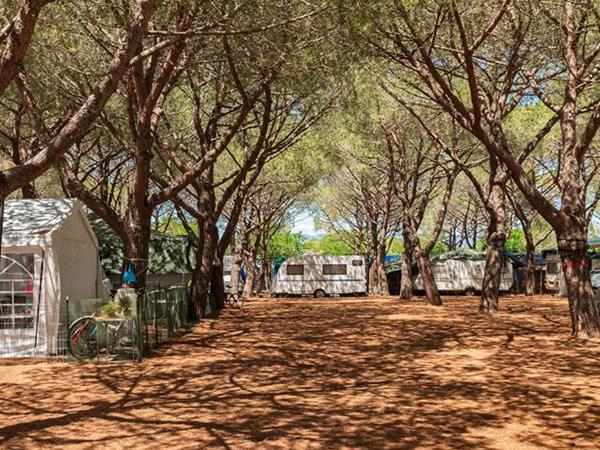 Gitavillage Club Degli Amici - foto 35453.jpg