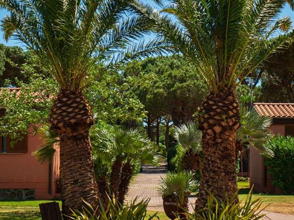 Gitavillage Club Degli Amici - foto 35454.jpg