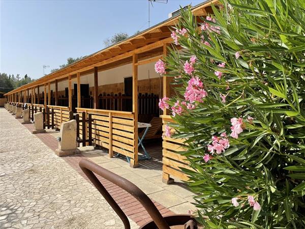 B&B Shadak - foto 35664.jpg