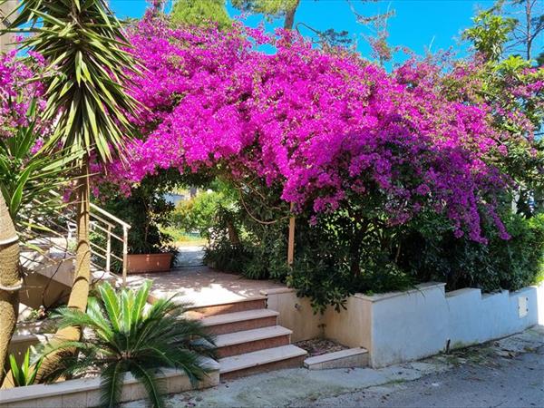 Hotel Garden - foto 36000.jpg