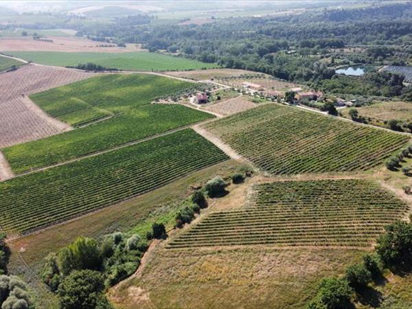 Agriturismo Podere Casa al Vento - foto 36005.jpg