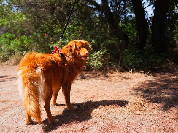 Gitavillage Club Degli Amici - foto 36127.jpg