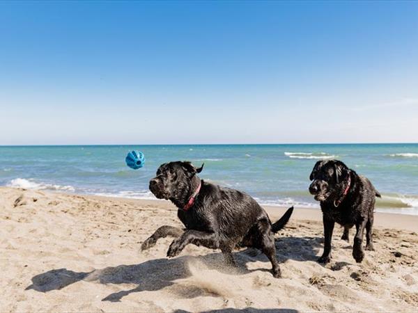 Gitavillage Club Degli Amici - foto 36128.jpg