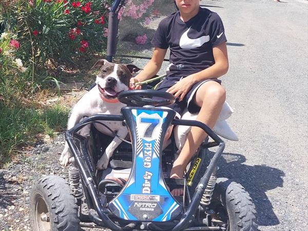 Fattoria Palazzeta  - foto 36158.jpg