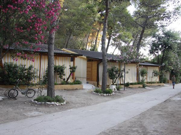 Villaggio Baia Calenella - foto 36270.jpg