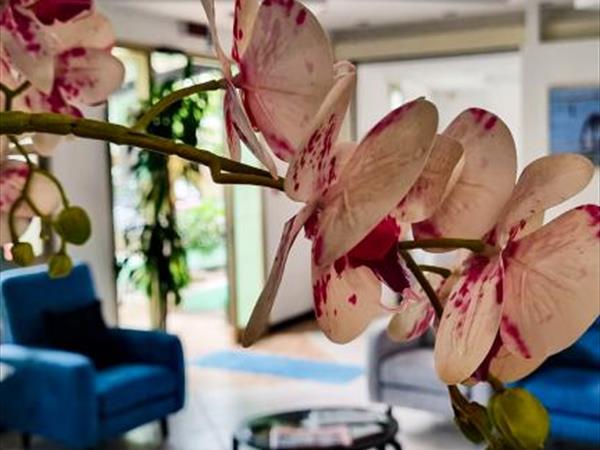 Hotel Sayonara - foto 36539.jpg