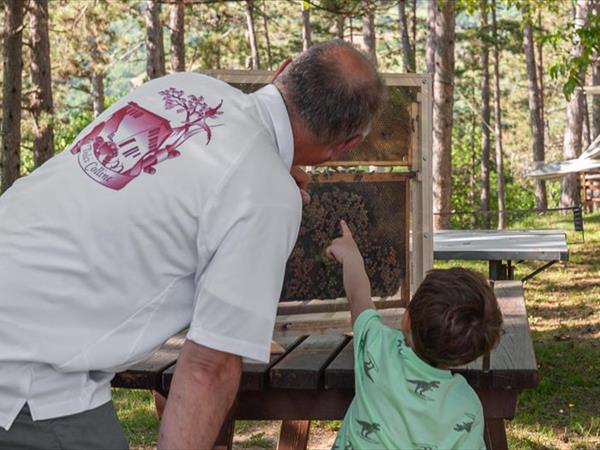 Agriturismo Le Dolci Colline - foto 36578.jpg