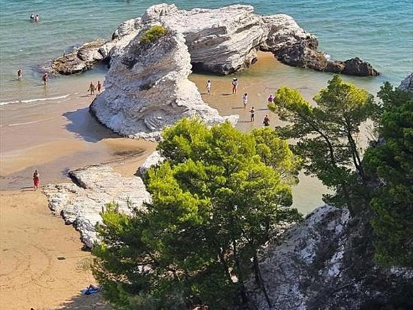 Appartamenti fronte mare - foto 36675.jpg