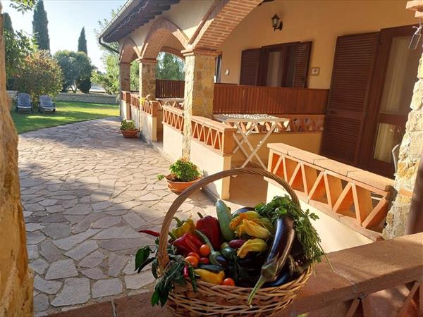 Agriturismo I Girasoli - foto 36902.jpg