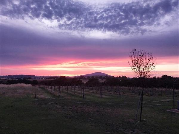 Agriturismo I Girasoli - foto 36906.jpg