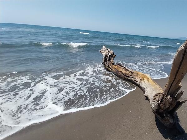 Agriturismo I Girasoli - foto 36910.jpg