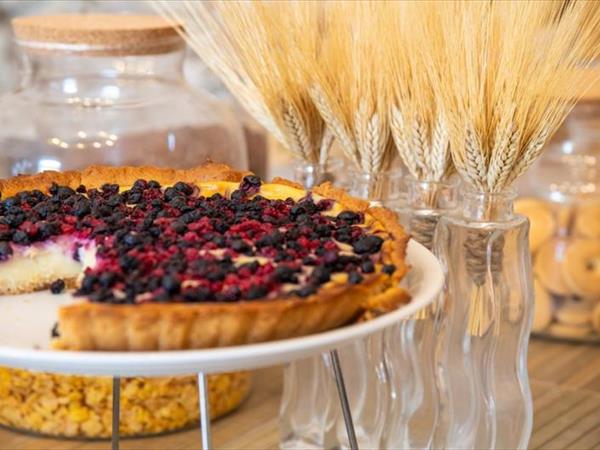 Villaggio Turistico Scialmarino - foto 37036.jpg