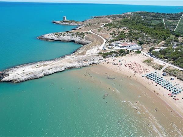 Malia Village - foto 37074.jpg