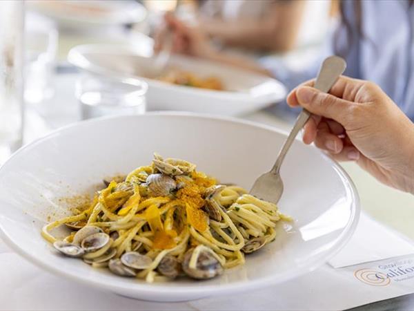 Gitavillage California - foto 37119.jpg