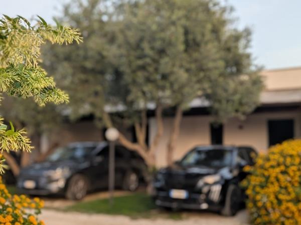 Lilybeo Village - Camping & Residence - foto 37424.jpg