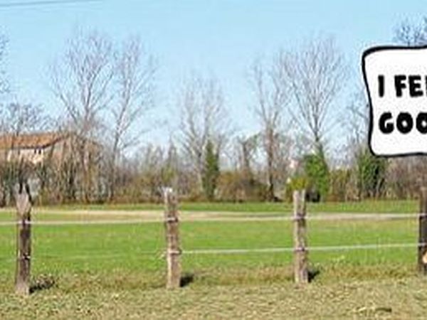 Agriturismo La Baccelliera - foto 12615.jpg