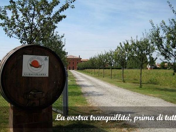 Agriturismo La Baccelliera - foto 12616.jpg