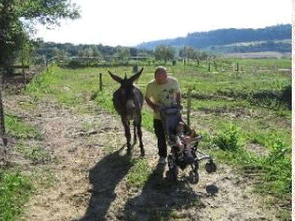 AGRITURISMO IL BOSCONE - foto 13198.jpg