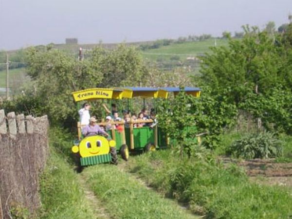 La fattoria di Valentino - foto 14281.jpg