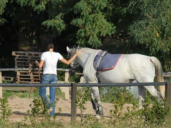 Relais Corte Benedetto - foto 14452.jpg