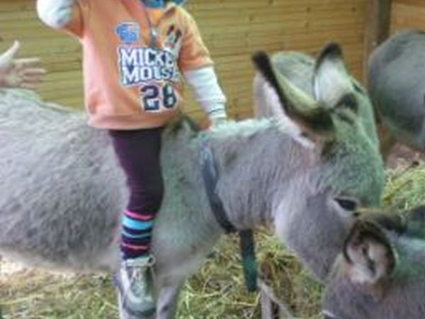 Agriturismo ��Il Colle delle Querce�� - foto 14677.jpg