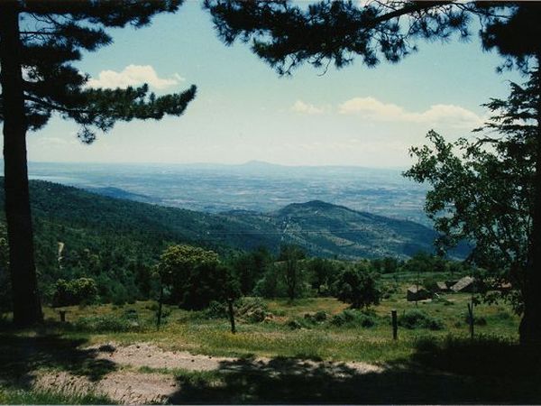 Agriturismo Sant�Egidio - foto 7012.jpg