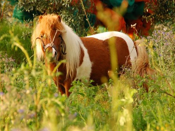 Agriturismo Zio Cristoforo - foto 7306.jpg