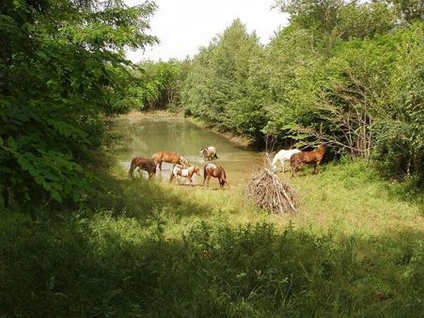 Agriturismo Piccola Raieda - foto 7917.jpg