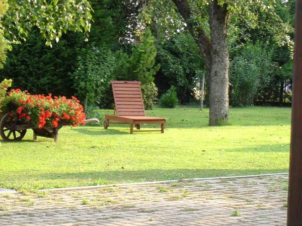 Hotel il Carrettino - foto 8464.jpg