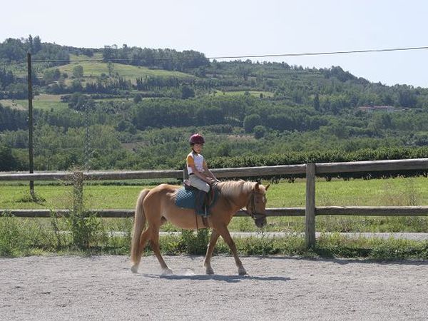 Agriturismo Isorella - foto 8918.jpg