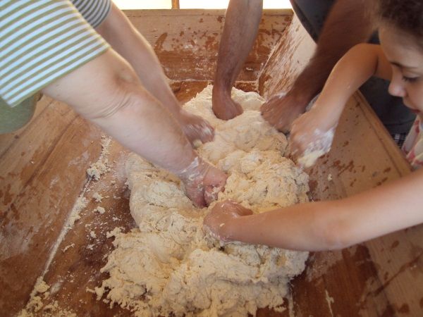 Agriturismo Casa Gialla - foto 9359.jpg