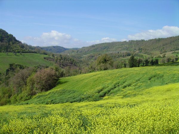 Fontana Mancina� - foto 9625.jpg