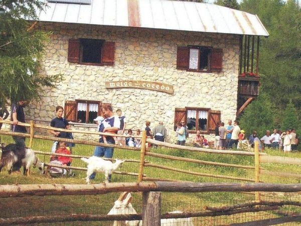 Azienda Agrituristica Leonardelli - foto 9667.jpg