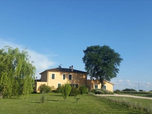 B&B Le Rose - Spello (PG)