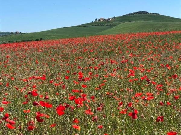 Agriturismo Poggio Tobruk