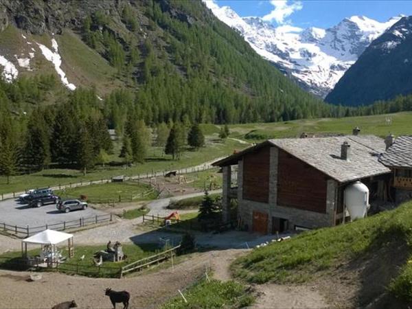 La Ferme du Grand Paradis - Cogne (AO)