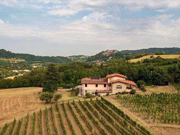 Tenuta Cascina Marenco - Gavi (AL)